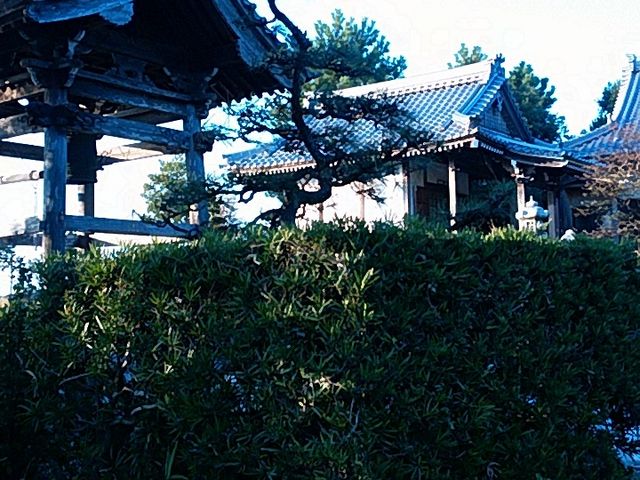 �Ԃ񂽂���̎F���`�m�ЂƂ�-�j�ՐS�މ@�F���`�m�̕�i�S�މ@�j�̓��e�ʐ^1