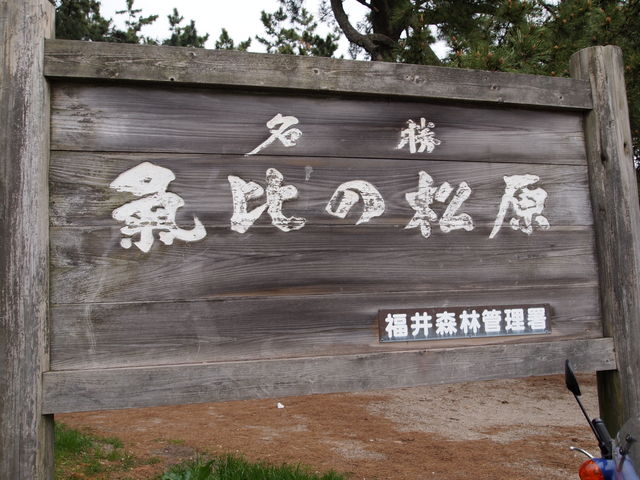 ���̖���_�C��̏���