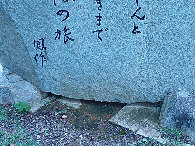 �Y��_���P����