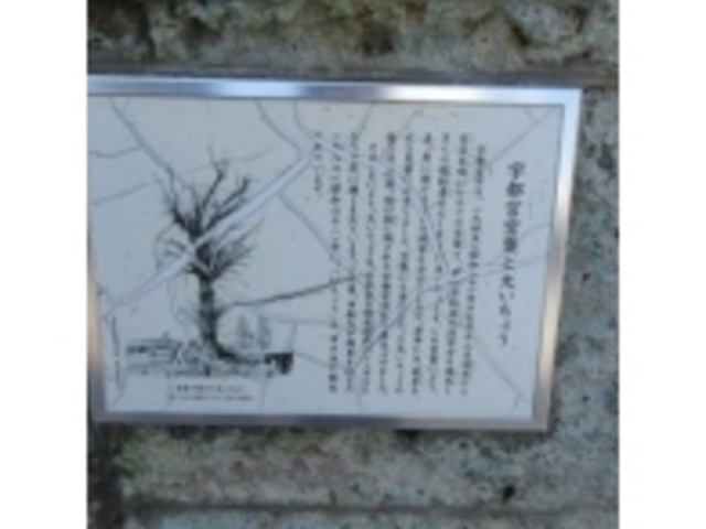 ������_��C�`���E