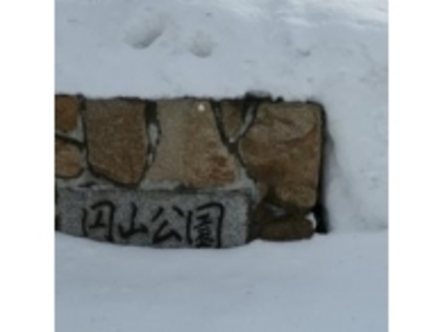 ������Ă܂�_�~�R����