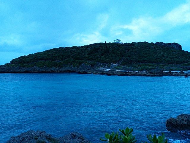 �܂��_�C���M���[�}�����K�[�f��