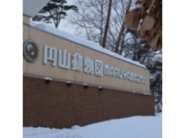 �G���g�����X_�~�R������