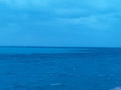 Ԃ񂽂̈ɗǕEnւ̓eʐ^1