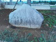 Ԃ񂽂̔Ã[hp[N̓eʐ^1