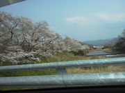 ponnkichȉR̍̓eʐ^1