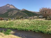 poporon̏鋴̏㗬̓eʐ^1