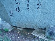 �Ԃ񂽂���̎��P����̓��e�ʐ^1