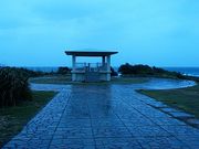 �Ԃ񂽂���̐��C�݌����̓��e�ʐ^1