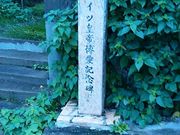 �Ԃ񂽂���̃h�C�c�c�锎���L�O��̓��e�ʐ^1