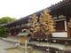 ponちゃんさんの薬師寺東院堂への投稿写真2