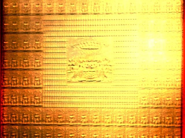 ���ڂ炳��̉Č��p���W���ق̓��e�ʐ^1