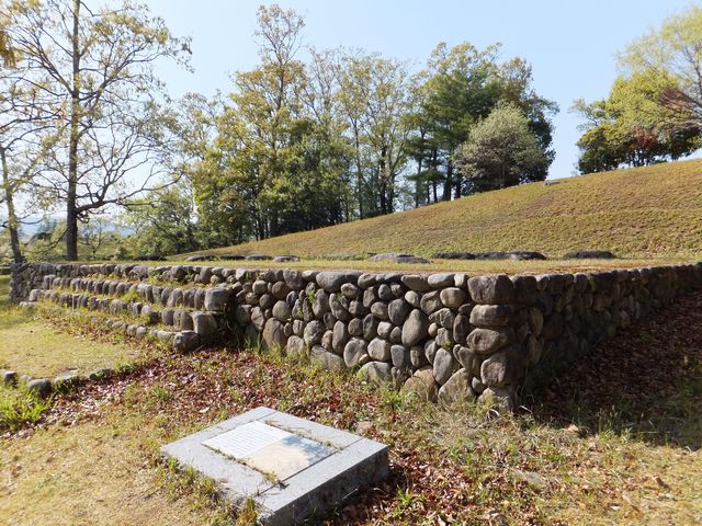 ���ڂ炳��̉Č��p���W���ق̓��e�ʐ^8