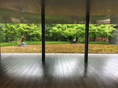 poporon̖PĊقւ̓eʐ^1