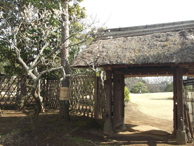 �L���뉀_������뉀