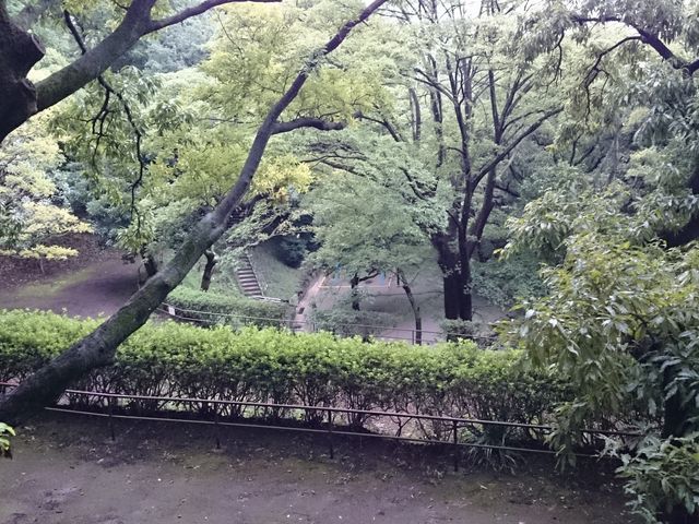 �u�̍��፷�����p��������_�R�����