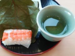 rascalrie̊`̗t{ƕ@g{Xւ̓eʐ^1