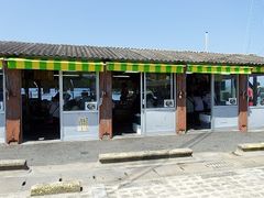 �ԁ[�q����̔g�˖��T�U�G�̂ڏĂ����X�ւ̓��e�ʐ^1