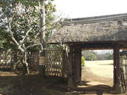 ݂΂񂳂̂뉀̓eʐ^1