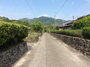 ippalo����̓����[���Ɖ��~�Q�̓��e�ʐ^1