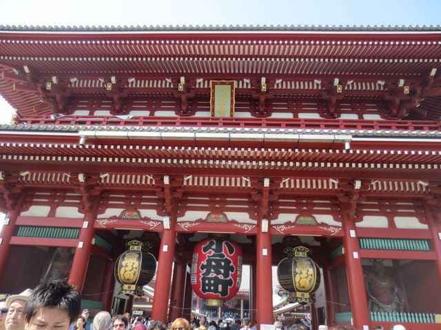 ���e�̐m���������h�ł��B_�󑠖�