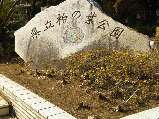 �����_��t�������̗t����