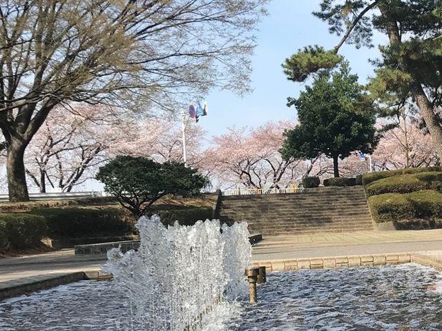 ����_�~������