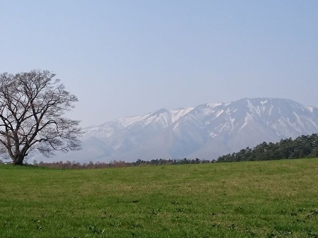 �܂��Q�̈�{��_�����_��̈�{��