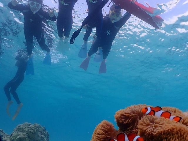 �j���ƈꏏ��_�}�����T�[�r�X�A�|�����Ί_��