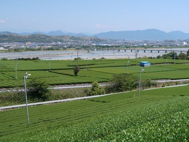 �x�m�R�Ƒ���ƒ���_�q�V����n