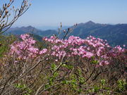 J`̐ԐΎR̍RA̓eʐ^2