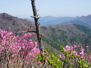 J`̐ԐΎR̍RA̓eʐ^5