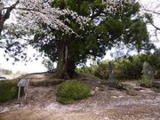 C[XgEbh̉ԒR{̍̓eʐ^1