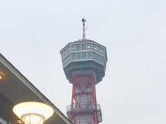 ���ʂ��ʂ���̔����|�[�g�^���[�ւ̓��e�ʐ^1