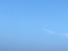 �O���C����̔��l�ւ̓��e�ʐ^1