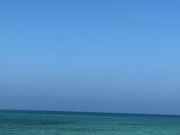 �O���C����̈��̃o���^�̓��e�ʐ^1