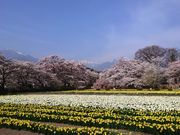 ��܂��[�܂񂳂�̎������̓��e�ʐ^2