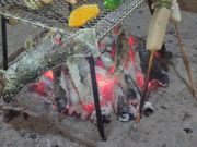 �������P����̗z�ڂ̗��E���������̓��e�ʐ^2