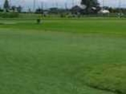 ANZ[JC̗̐ip[NStj̓eʐ^1