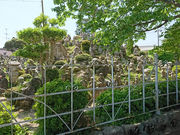 korikori̒|ܕS̓eʐ^2