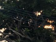 OC̓n쓇dv`IQۑn̓eʐ^1