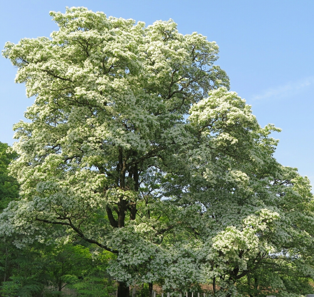 豊岡市の観光スポットランキングtop10 じゃらんnet 豊岡市の観光スポットランキングtop10 じゃらんnet