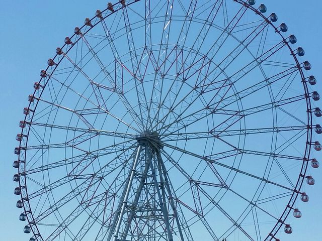 �ϗ���_�_�C���ƉԂ̑�ϗ���