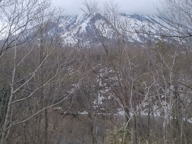 5���̔�����_������