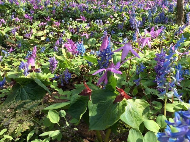 ���_�j�R���R����