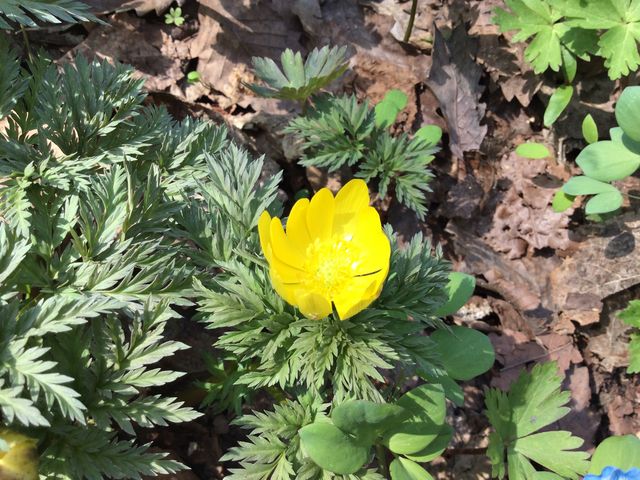 ������_�j�R���R����