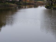 ���ꌧ���X�ь����̎ʐ^1