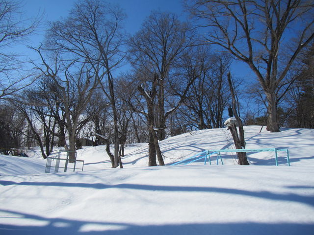 �X�Βn�ɂ������_�j��������