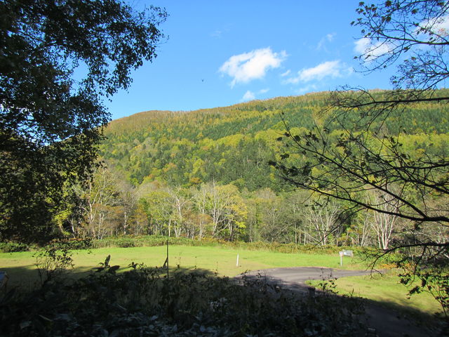 �E�G���V���x�o�R��������_�E�G���V���L�����v��