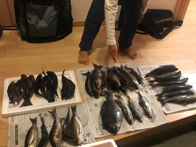 �D�Ŕ��A�X�`���[�������������܂����B
���͎���ŕ��ׂ��Ƃ���ł�_�Ȃ��݊�